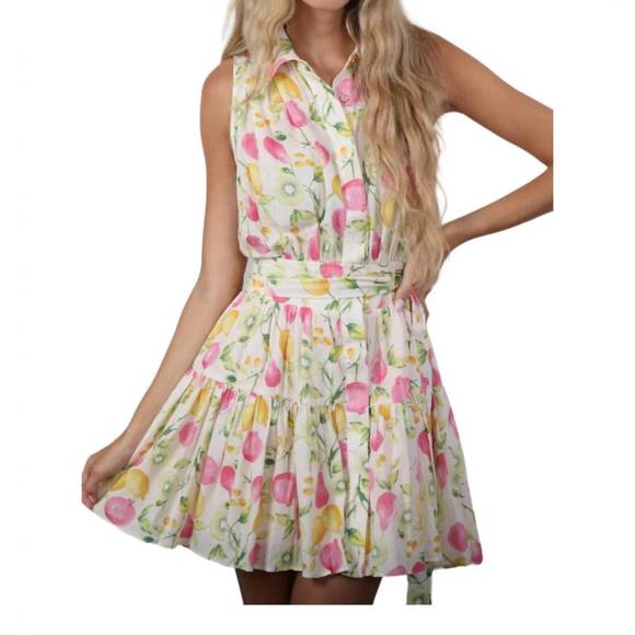 NEW EN SAISON belted button front mini dress in fruit medley - Picture 1 of 3